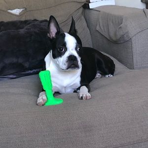 Meet your Posher, Emily